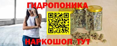 крисы Гусь-Хрустальный