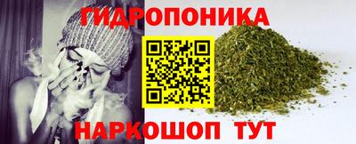 шишки Гусев